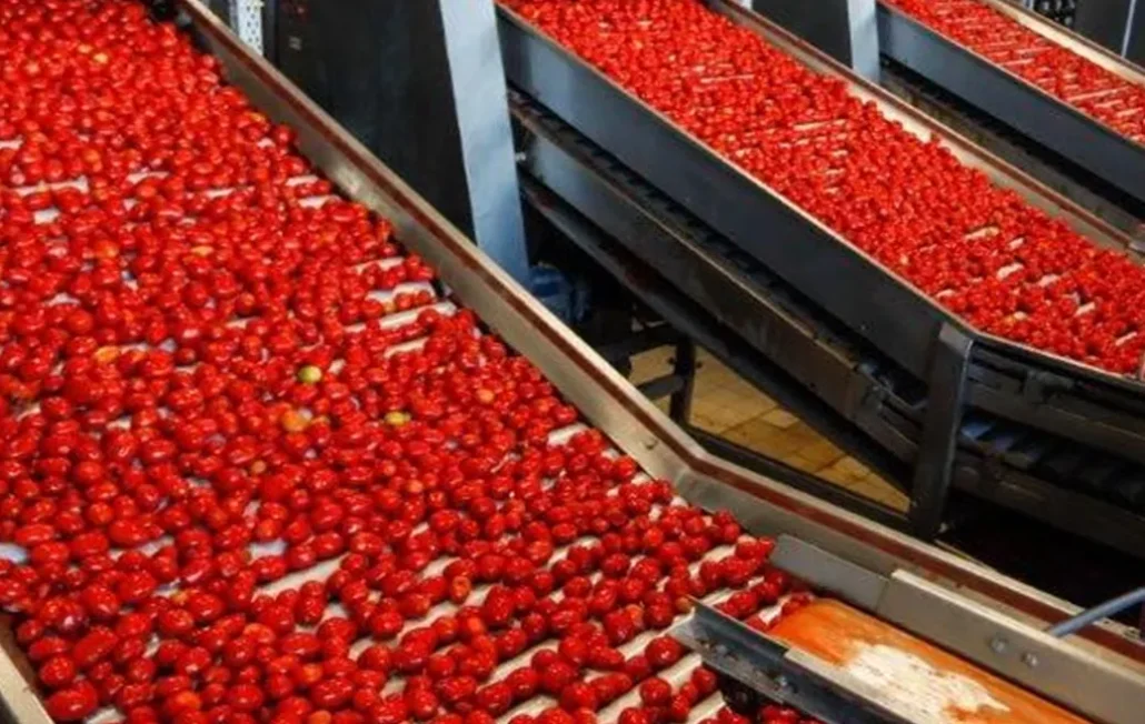 طرح توجیهی کارخانه رب گوجه