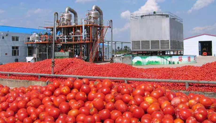 هزینه احداث کارخانه رب گوجه